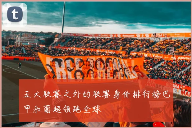 五大联赛之外的联赛身价排行榜巴甲和葡超领跑全球